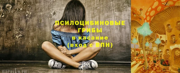 таблы Костерёво